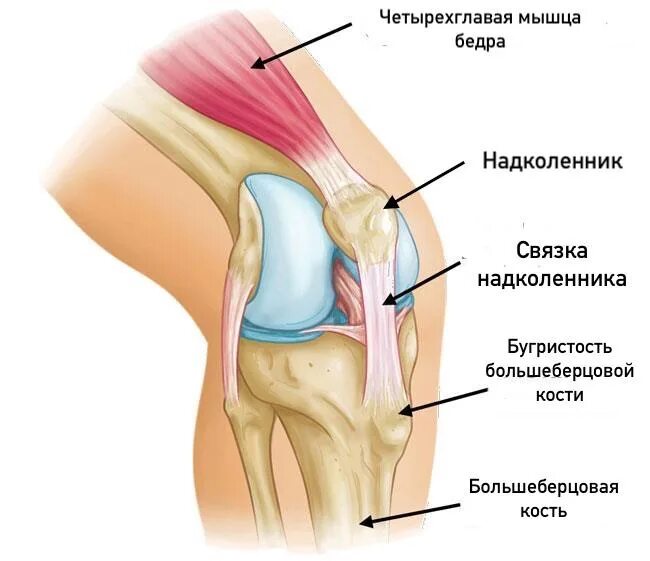 Болезнь осгут шляттера. Осгуда шляттера синдром. осгуд шляттера болезнь. остеохондропатия осгуда-шлаттера.