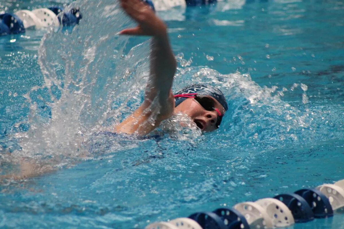 плавание баттерфляй россия. Swimming 24. Swimming 24. сасово нептун соревнования старт на спине. евгений петрашов пловец.