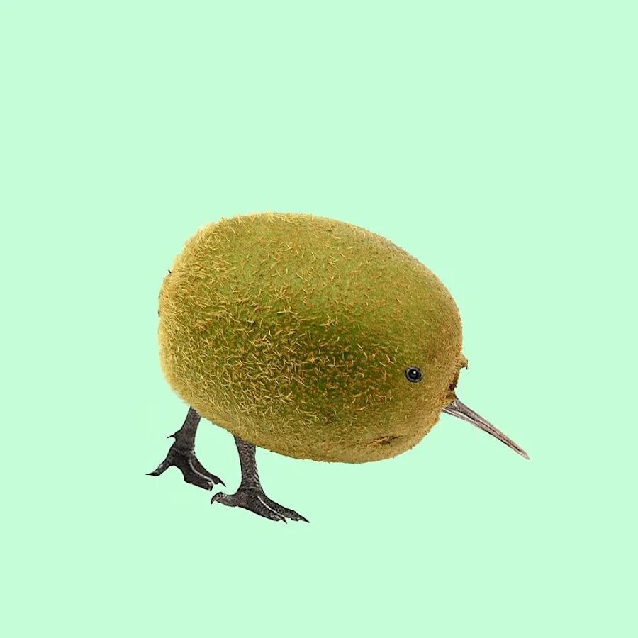 Kiwi ears ke4