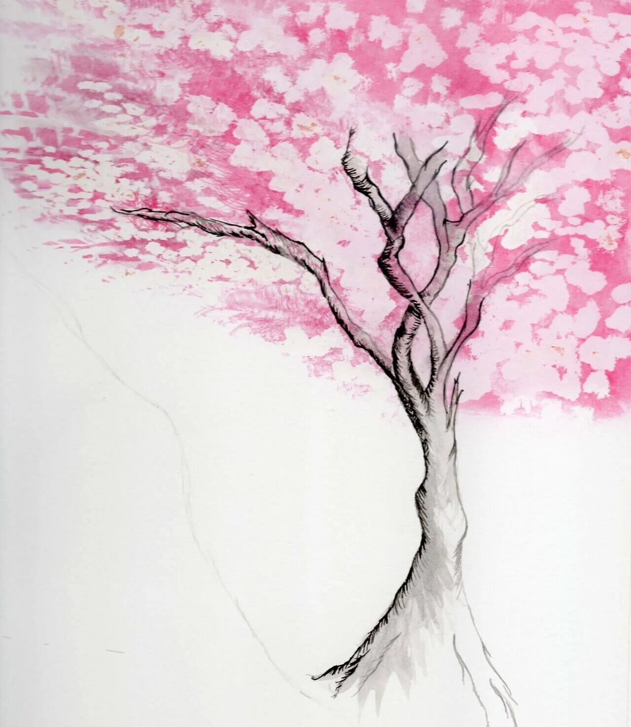 Сакура рисунок. Рисование дерева Сакуры. Сакура дерево рисунок карандашом. Нарисовать красивое дерево.