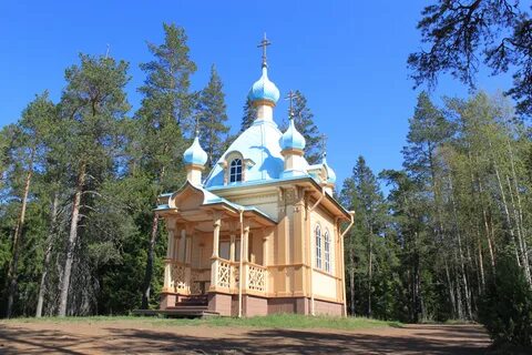 Сосновый бор ломоносов