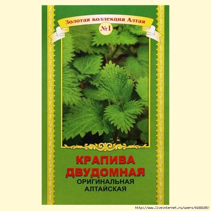 Семена купить в аптеке москва. Семена двудомной крапивы. Семена крапивы в аптеке. Крапива двудомная в аптеке. Семена крапивы двудомной в аптеке.