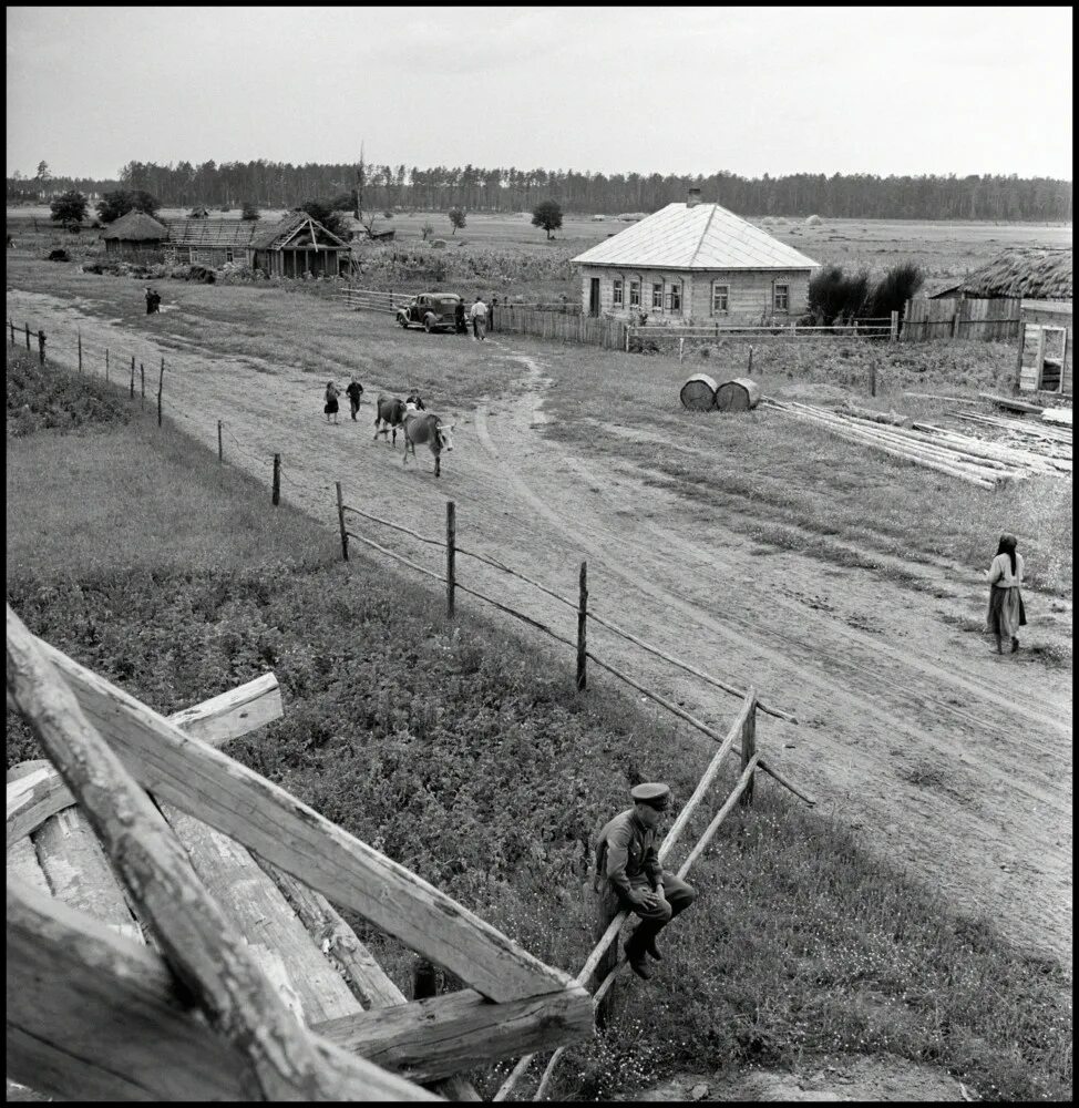 В моем селе