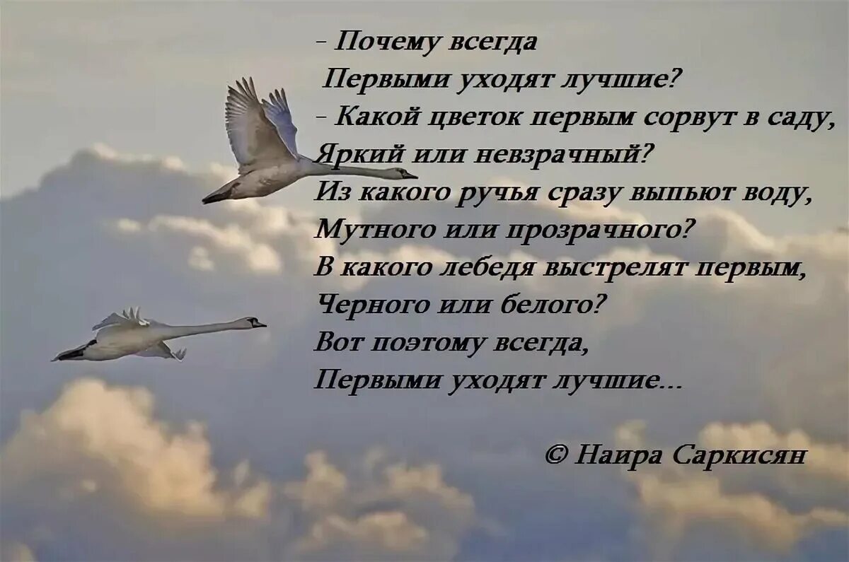 Песня как жаль птицей в небо. Уходят лучшие люди стихи. Ушел хороший человек из жизни стихи. Стих об ушедшем человеке. Стихи об ушедших из жизни.