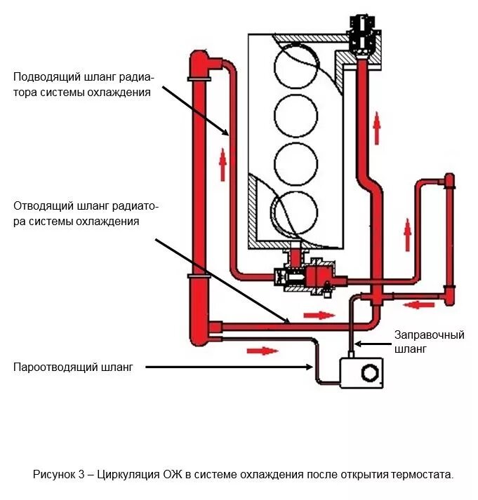 Термостат малый круг. Система циркуляции охлаждающей жидкости Гранта. Схема циркуляции охлаждающей жидкости Гранта.