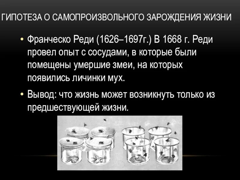 Гипотеза о самозарождении жизни Франческо реди. Опыты Франческо реди, 1668 г. гипотеза. Гипотез самопрлизводного зарождерия. Гипотеза самозарождения доказательства.