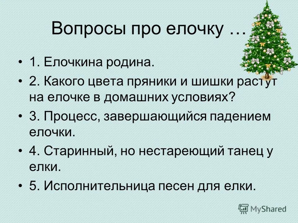 елочка с вопросом. вопросы про елку для детей. вопросы про ель. елка ночью в доме. экотек новокузнецк.
