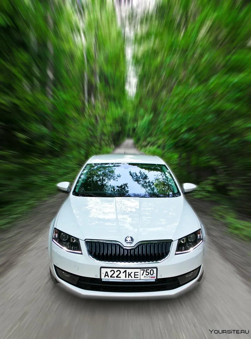 Авито машина шкода. Skoda Octavia a7. Школа Оксавиа. Skoda Octavia 3.