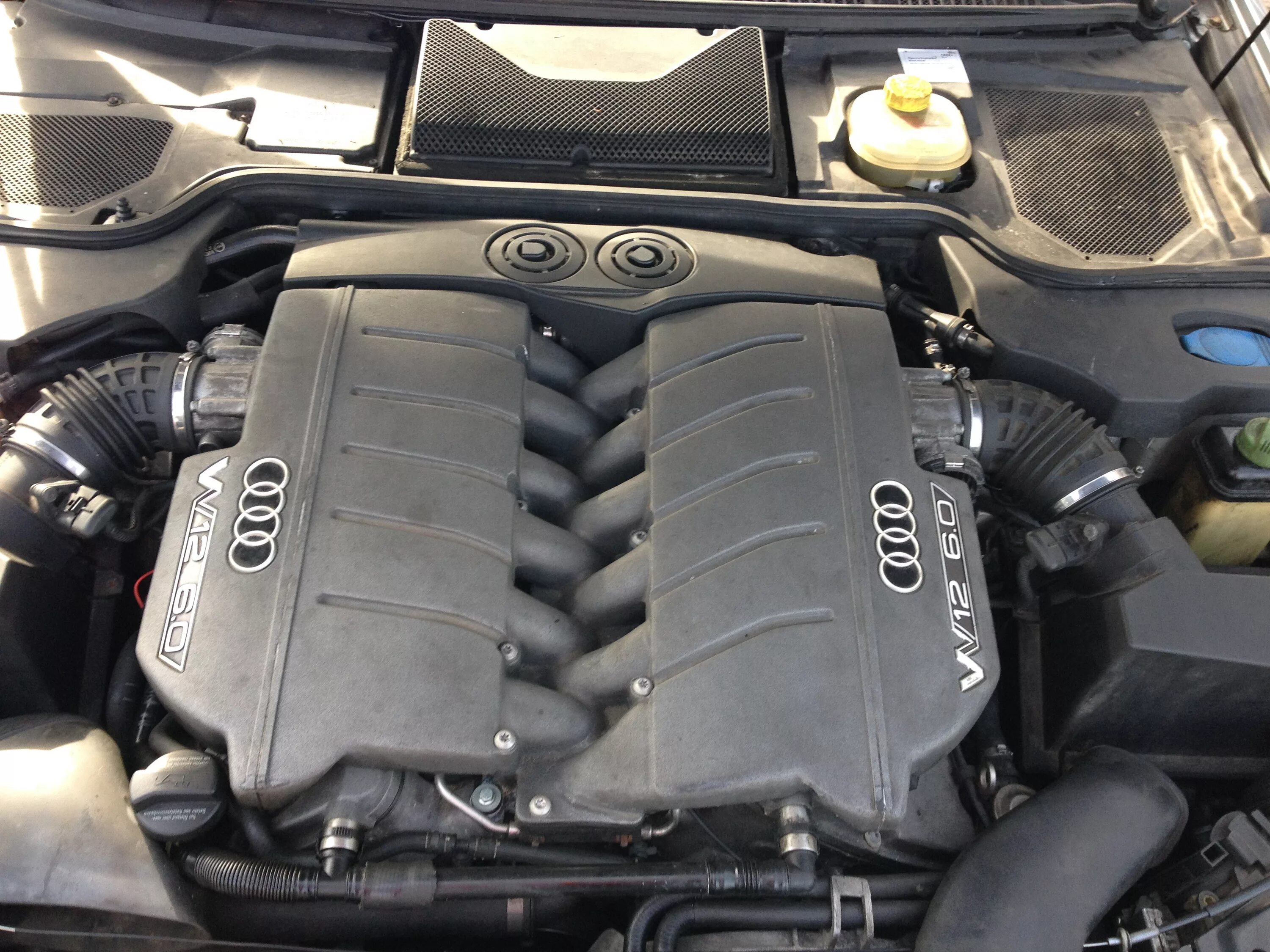 V12 pro купить. Audi a8 d3 w12 6.0. Audi a8 w12 мотор. Audi a8 v12. Audi a8 w12.