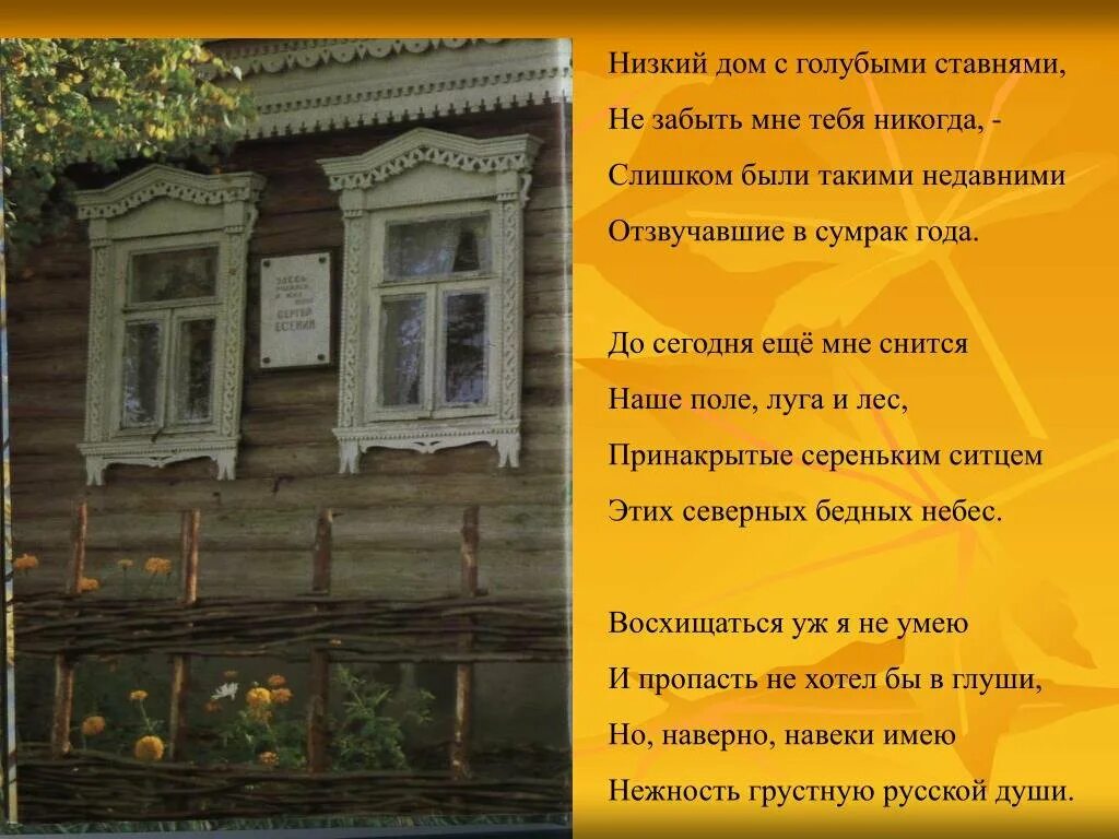 Размер стихотворения низкий дом. С.А. Есенина "я покинул родимый дом","низкий дом с голубыми ставнями". Стих Есенина низкий дом с голубыми ставнями.