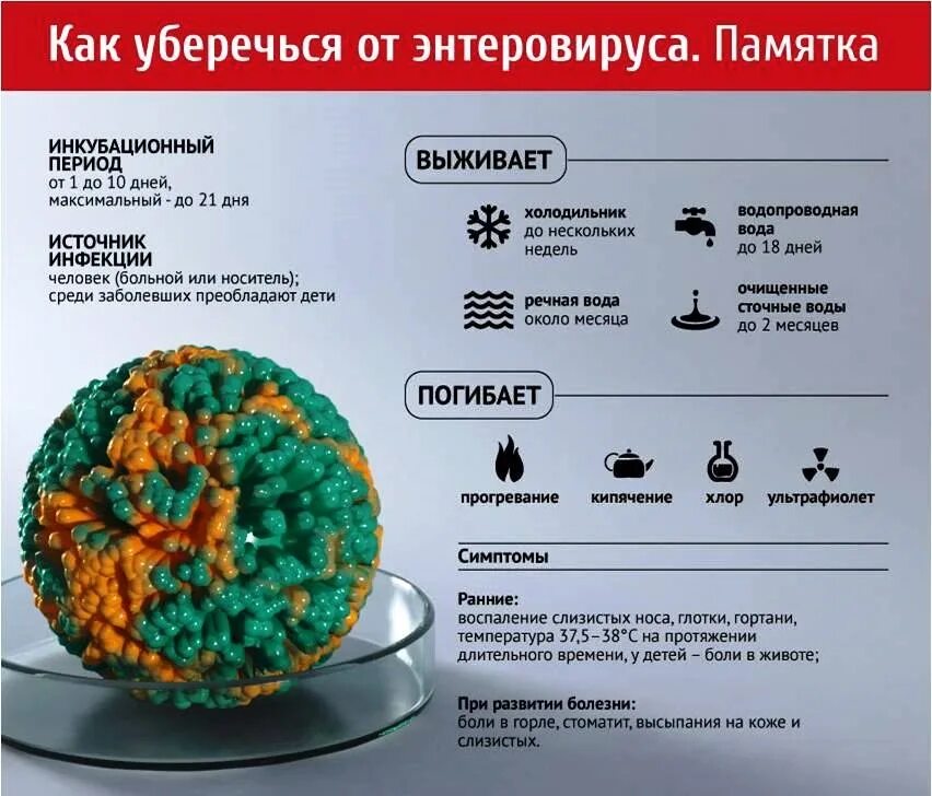 Энтеровирус c. Энтеровирусная инфекция. профилактика энтеровируса. возбудители энтеровирусных инфекций профилактика. профилактика энтеровирусной инфекции.