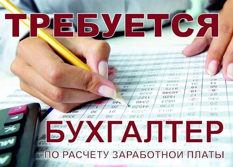 Требуется бухгалтер по заработной плате. Требуется бухгалтер. Вакансия бухгалтер. Требуется бухгалтер по расчету заработной платы. Зарплата бухгалтера в 2024 году