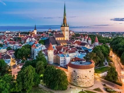Эстония Таллин лето.