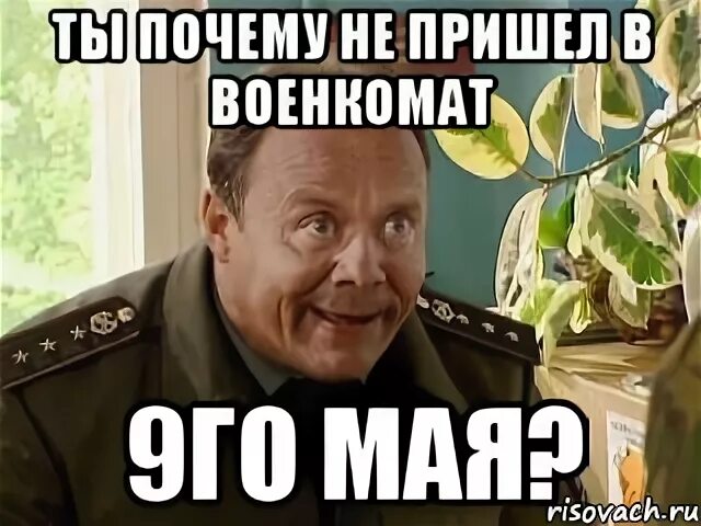 Шматко приколы. Шматко. Шматко Мем. Шматко мемы.