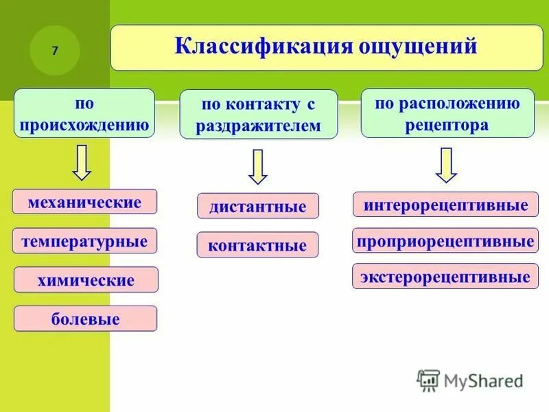 возрастная периодизация психического развития д.