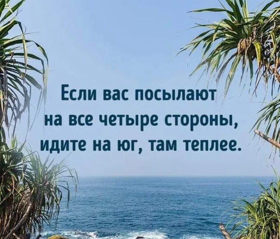 Если вас послали. Если вас послали идите. Цитаты если вас послали. Если вас послали идите на Юг. Там всегда тепло