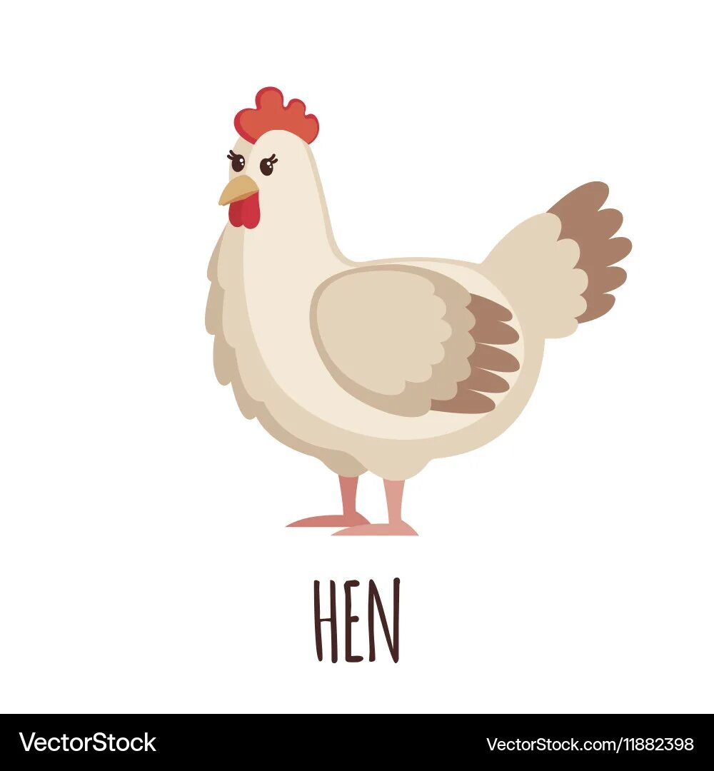 We a hen. Курица вектор. Петух мультяшный. Нарисовать курицу. Hen английский перевод.