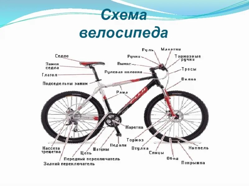 Задний велосипеда схема. Схема велосипеда. схема спортивного велосипеда. устройство велосипеда. строение велосипеда схема.