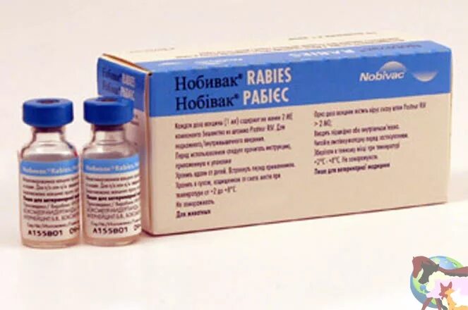 Вакцина rabies. Nobivac Rabies (Нобивак рабиес). Вакцина Нобивак Rabies для собак. Вакцина для кошек Intervet Нобивак Rabies. Вакцина рабиес для кошек.