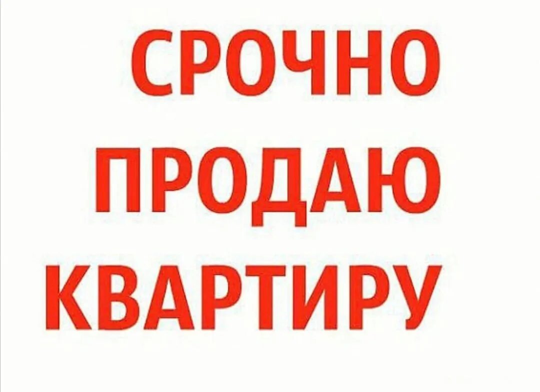 Продается квартира. Срочно продается квартира. Срочно продается. Продам квартиру картинка. Срочно куплю квартиру объявление