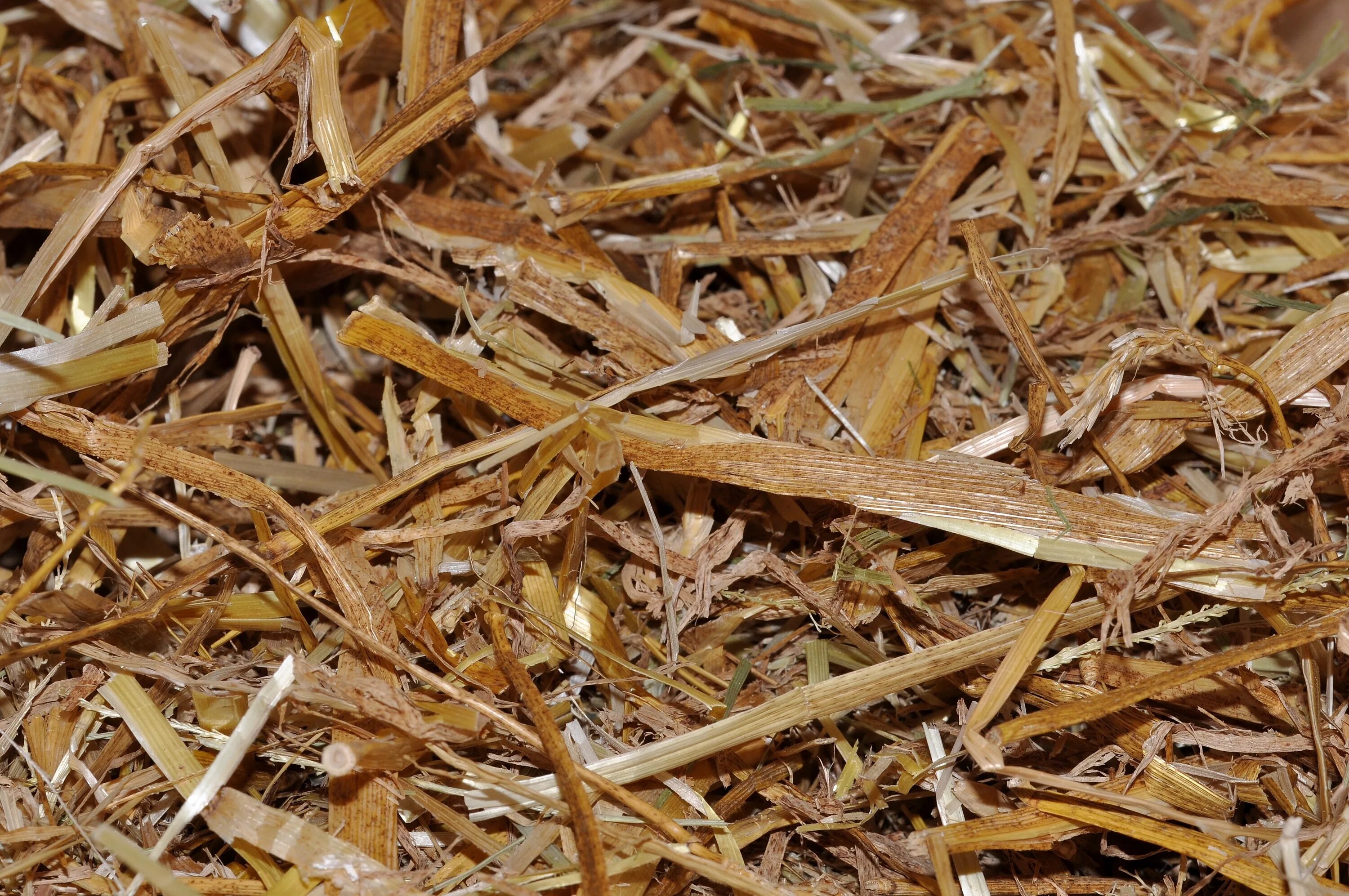 Straw page