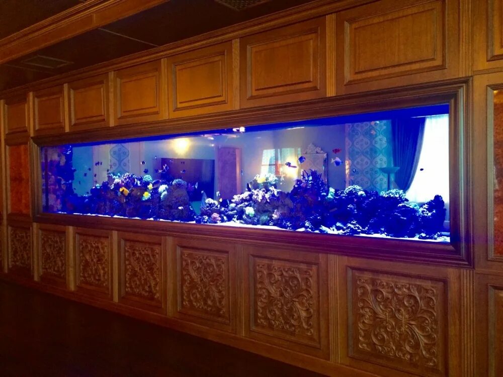 аквариум колонна 100 литров. длинный аквариум. аквариум трапециевидный. узкий аквариум. морской аквариум.