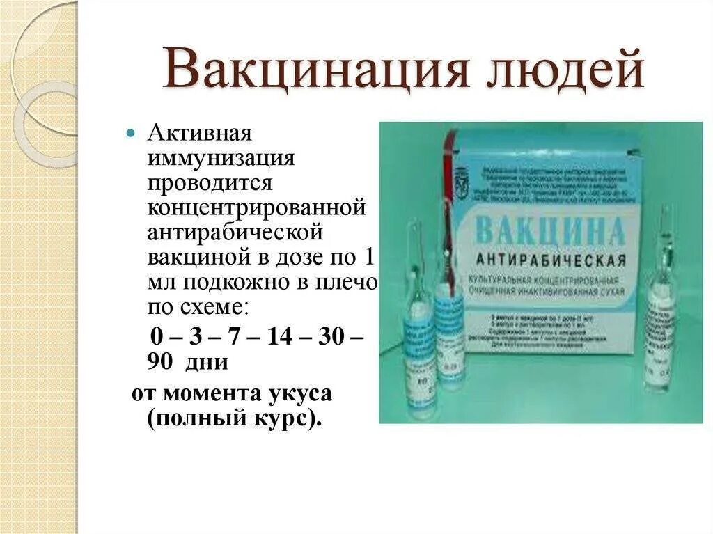 Введение антирабической вакцины. Схема иммунизации вакциной кокав. Прививка против бешенства схема. Кокав схема вакцинации. Антирабическая вакцина схема.