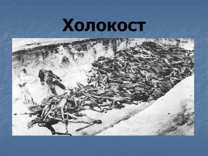 Судьбы холокоста. Судьбы холокоста