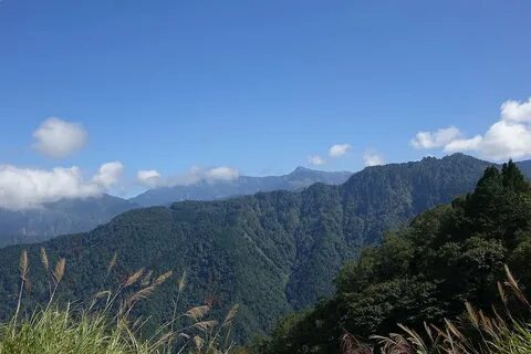 Environment ranges