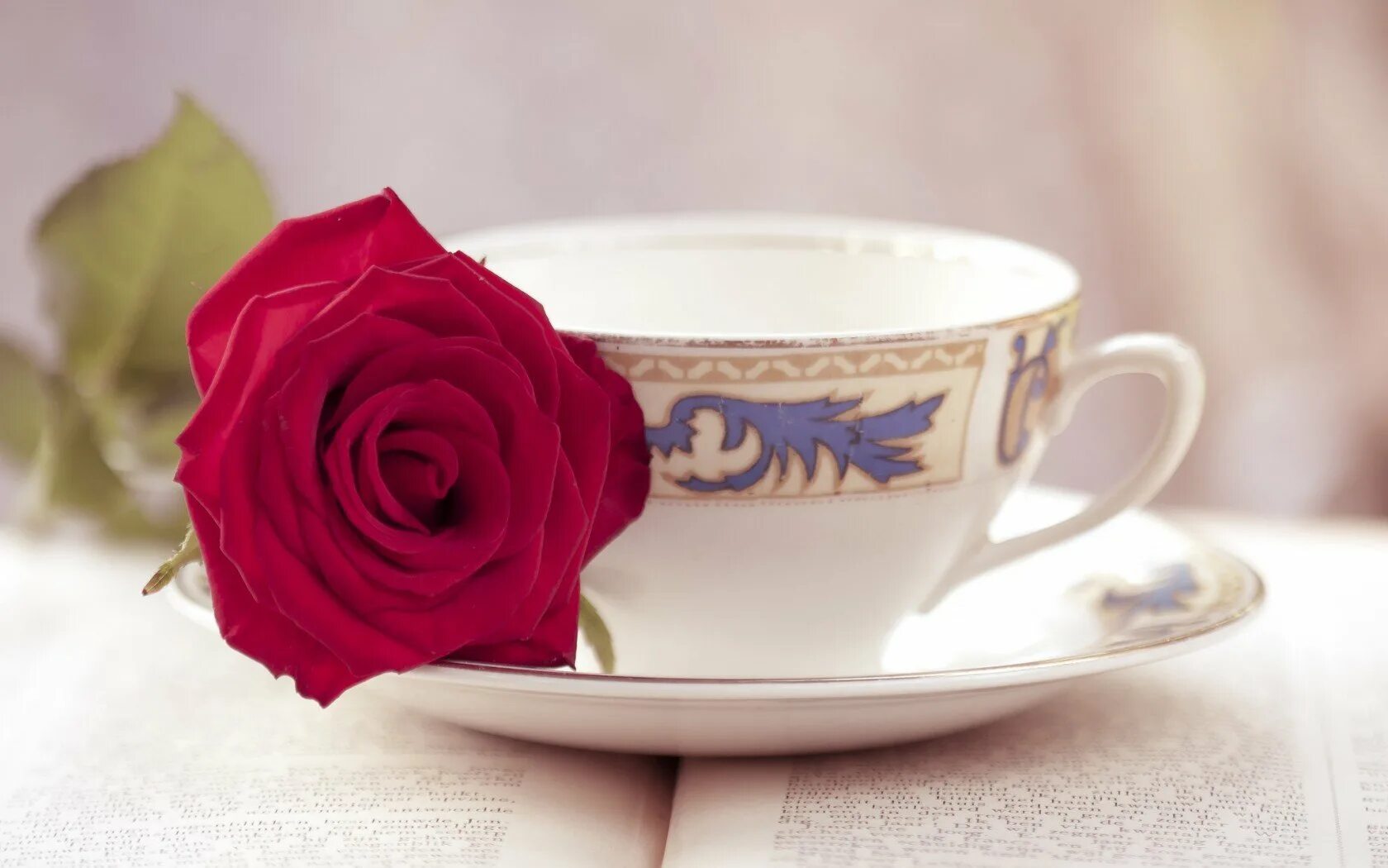 Красивые чашки. Чашка кофе с цветами. Rose cup