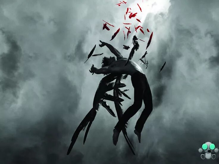 А мы не ангел и парень. Hush, hush (2025). человек с крыльями падает. падающий ангел. падший ангел.