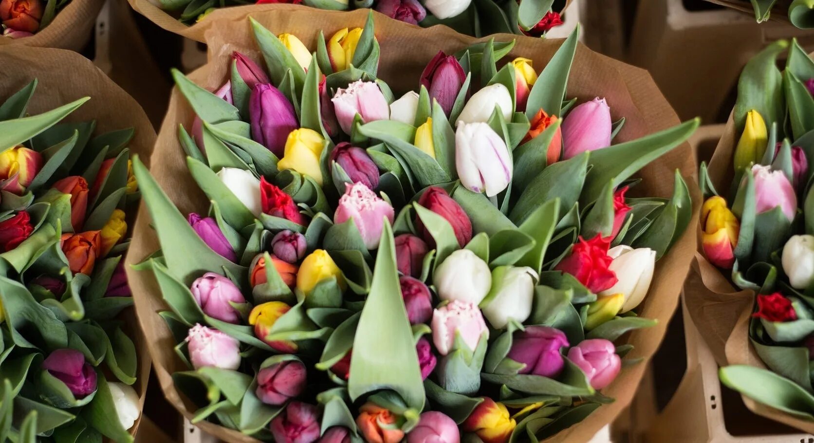 Сколько стоят тюльпаны в спб. Тюльпаны в Питере. Тюльпаны в Питере фото. Тюльпан к 8 марте дизайн.