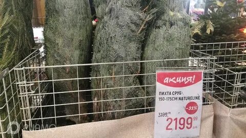 Адреса елочных базаров 2023