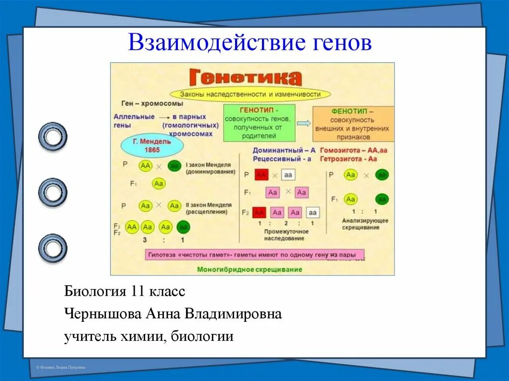 Взаимодействие генов. Биология взаимодействие генов. Взаимодействие генов презентация. Презентации по биологии 11 класс.