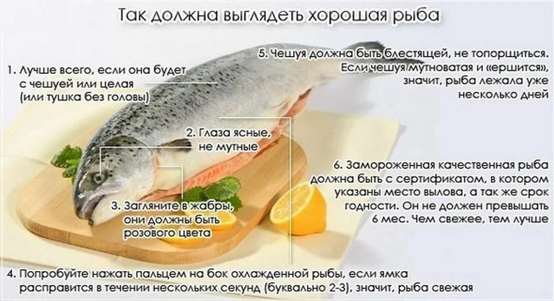 Можно ли есть свежий. Как выбрать свежую рыбу. Свежесть рыбы определяют. Так должна выглядеть хорошая рыба. Как определить свежесть рыбы.