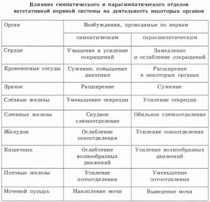 Парасимпатическая вегетативная нервная система функции. Функции симпатической и парасимпатической нервной системы таблица. Симпатический и парасимпатический отделы нервной системы таблица. Симпатическая и парасимпатическая нервная система отличия таблица. Эффекты симпатической и парасимпатической нервной системы таблица.