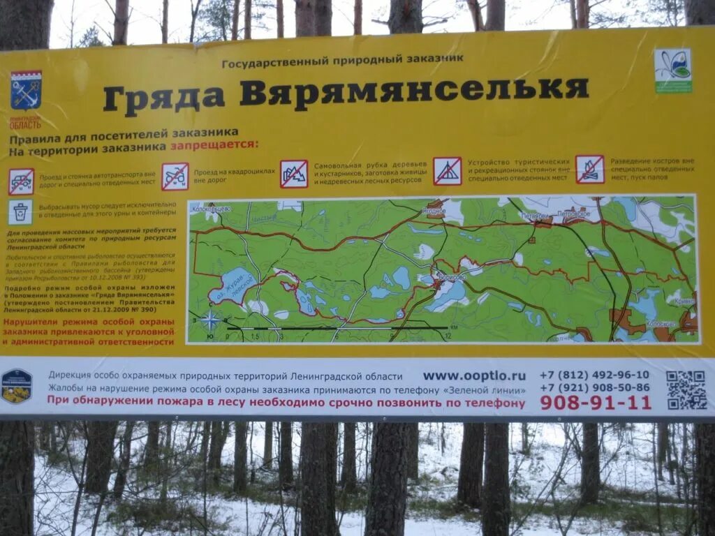 Гряда вярямянселькя как добраться. Природный заказник гряда вярямянселькя. заказник гряда вярямянселькя карта. оопт гряда вярямянселькя. эко тропа гряда вярямянселькя.