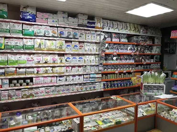 Зоомагазин на первомайской. Зоомагазин йошкар-ола. первомайская 115 ж йошкар-ола. зоомагазин в первомайске.