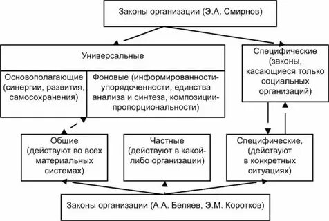 Организация основное направление которой является