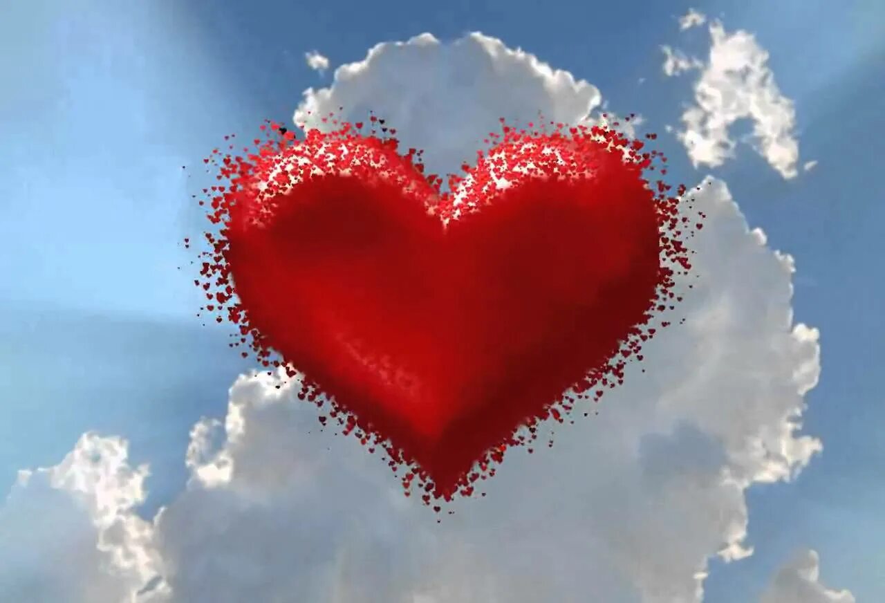 фото сердечко видео. огромное сердце. сердечки для родителей. объемные сердечки. большое сердце.