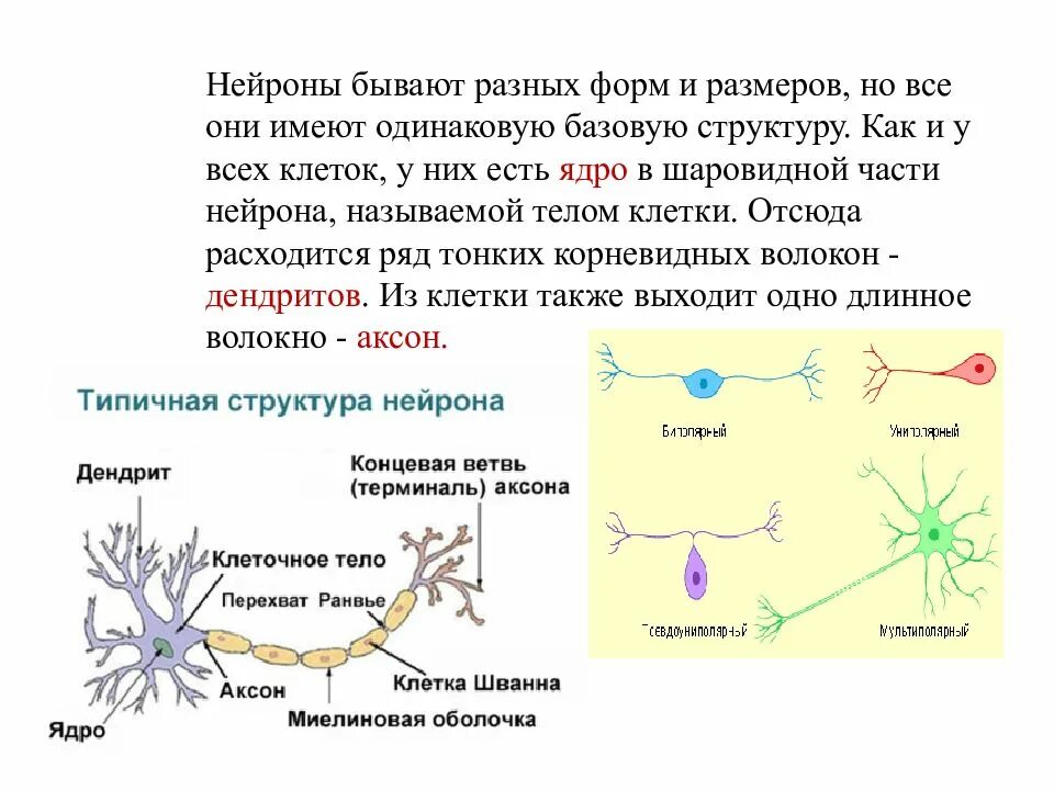 Какую структуру имеет проект