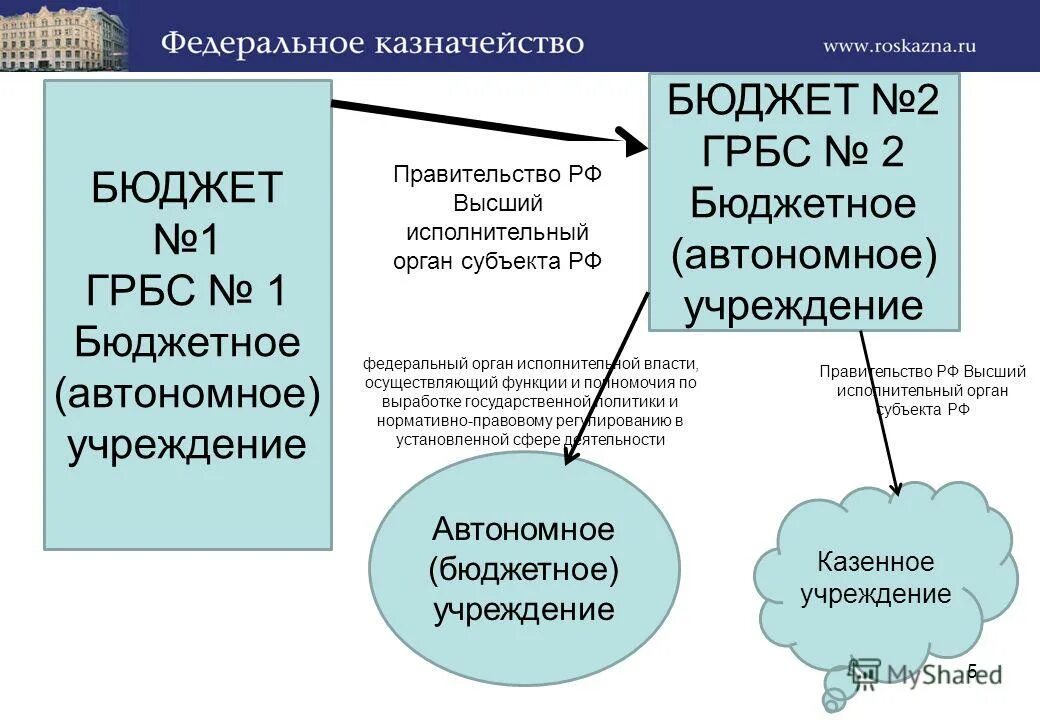 Исполнительный орган бюджетного учреждения