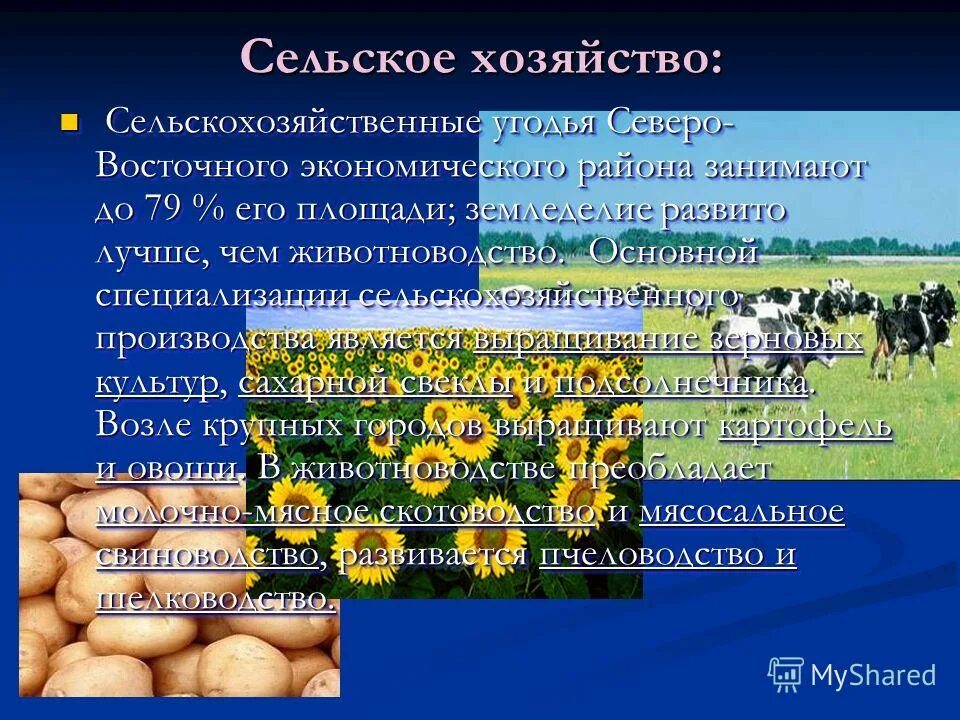 Отрасль специализации гидроэнергетика апк. Сельское хозяйство Северо Востока США. Отрасли сельского хозяйства. Специализация сельского хозяйства. Презентация сельское хозяйство района.