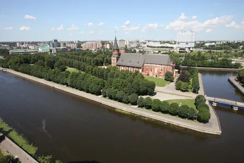 Ветви калининград