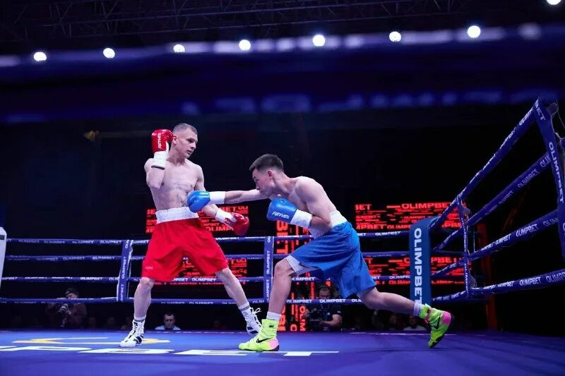 штефан знает