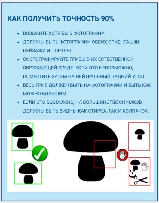 Определить грибы приложение. Распознавание грибов. приложение для распознавания грибов. распознавание грибов по фото приложение андроид. как опознать гриб.