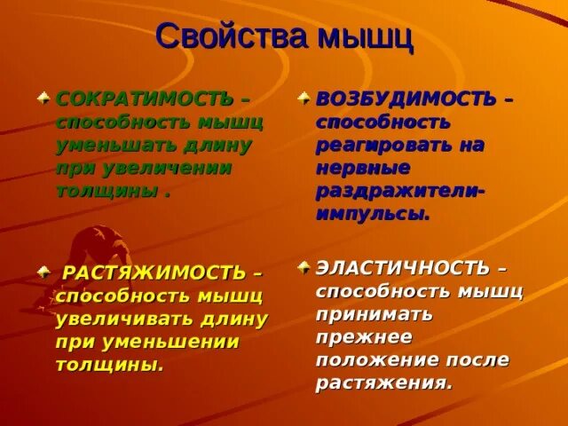 Способность мышцы принимать прежнее положение после растяжения. Способность мышцы принимать прежнее положение после растяжения