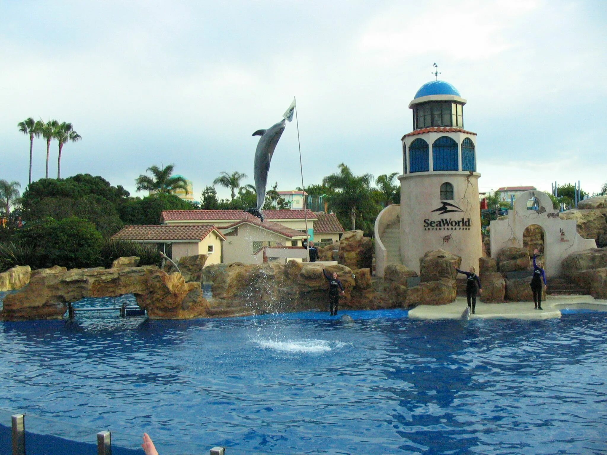 World san. SEAWORLD Сан Диего. SEAWORLD Сан-Диего Калифорния. SEAWORLD Orlando. San Diego Sea World Welch ATMS.