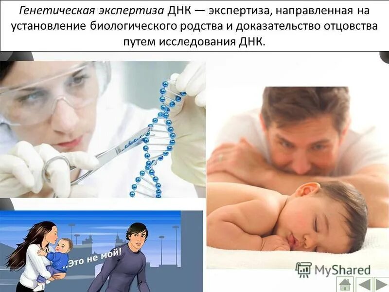 Установление отцовства через днк. Экспертиза установления отцовства. установление отцовства днк. генетическая экспертиза. генетическая экспертиза на отцовство.