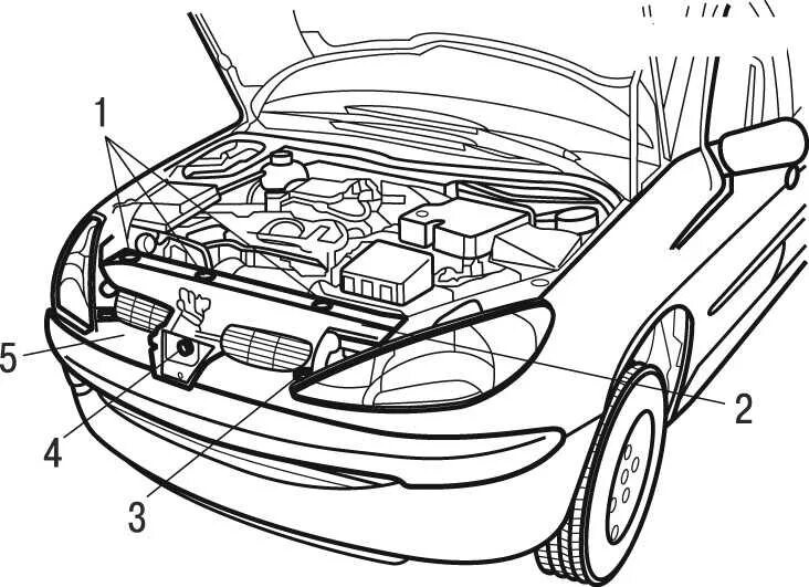 Название деталей капота. Пежо 206 открытый капот. Кузов снизу Пежо 206. Элементы переднего кузова Peugeot 206. Пежо 407 схема капота.
